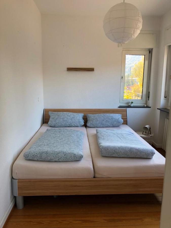 Saarburg Wine Apartments エクステリア 写真